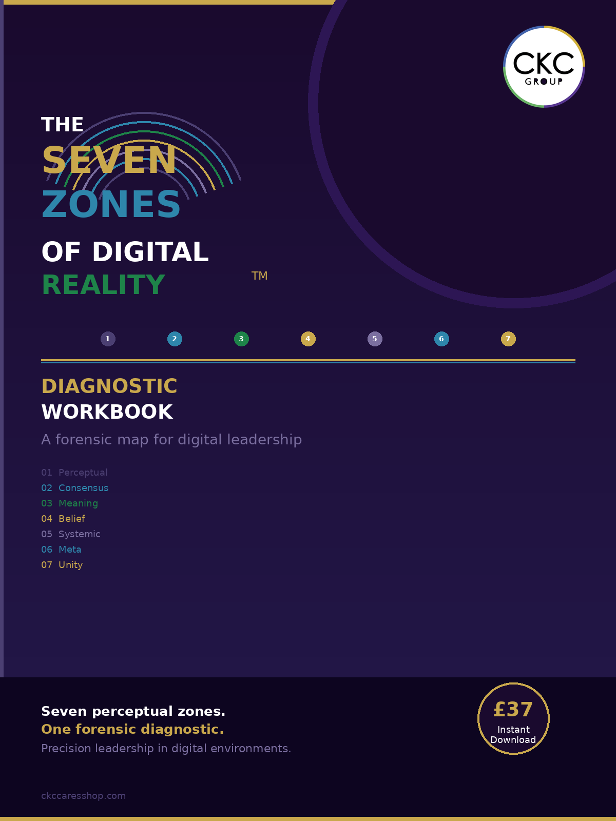 The Seven Zones of Digital Reality™: Diagnostic Workbook